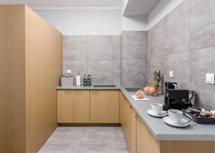 公寓 Deo Plaza Luksusowe Z Widokiem Na Motlawe By Renters 格但斯克