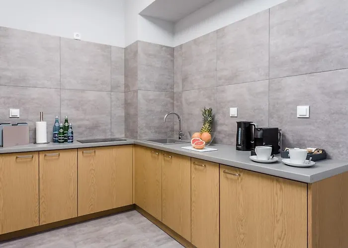 Deo Plaza Luksusowe Z Widokiem Na Motlawe By Renters 公寓 格但斯克