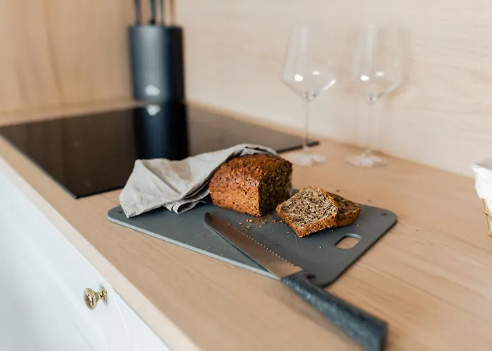 Deo Plaza Luksusowe Z Widokiem Na Motlawe By Renters 公寓 格但斯克